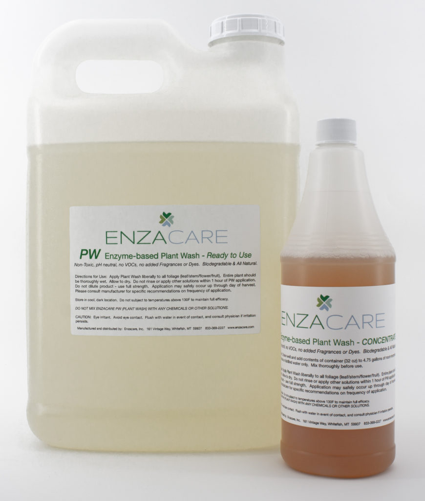Enzacare Plant Wash RTU and Concentrate